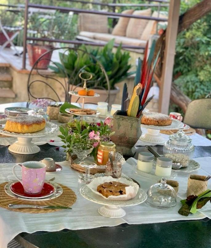 Ca'Bevilacqua Bed&Breakfast 贝尔蒂诺罗 外观 照片