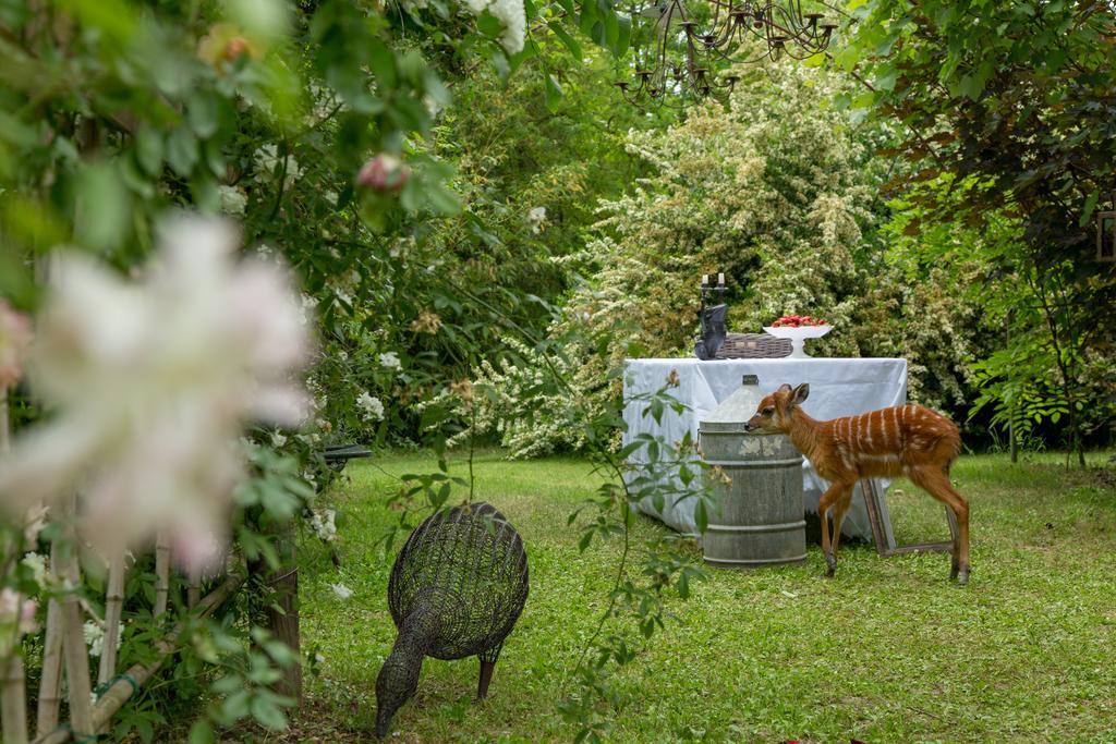 Ca'Bevilacqua Bed&Breakfast 贝尔蒂诺罗 外观 照片